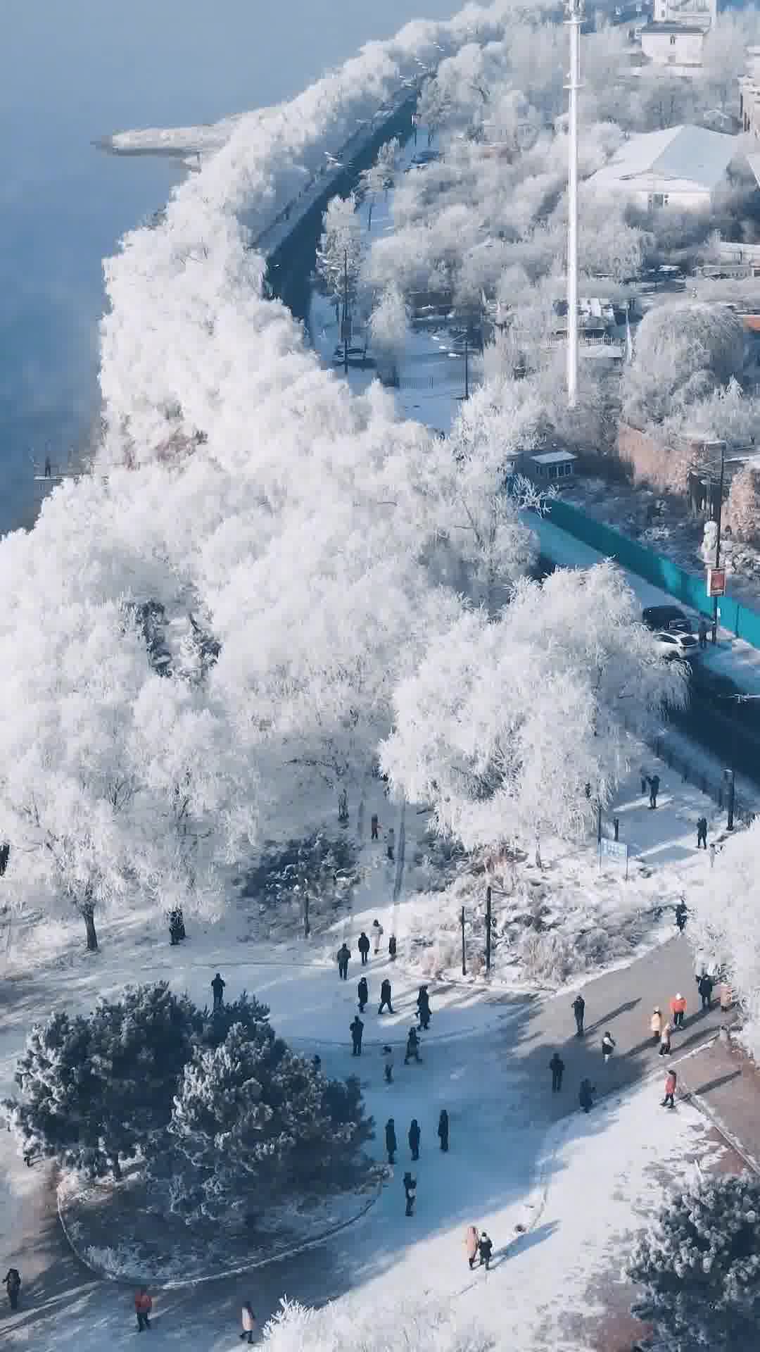 吉林,东北明珠,国之骄傲