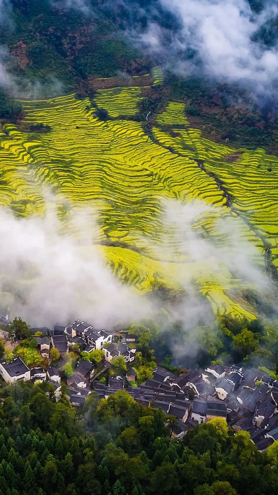 江西，致尊敬的听众朋友们
