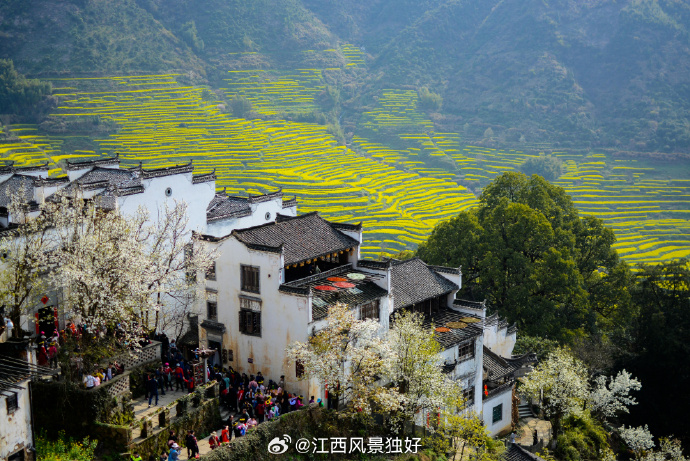 江西，红色沃土 绿色发展，共绘美好未来蓝图