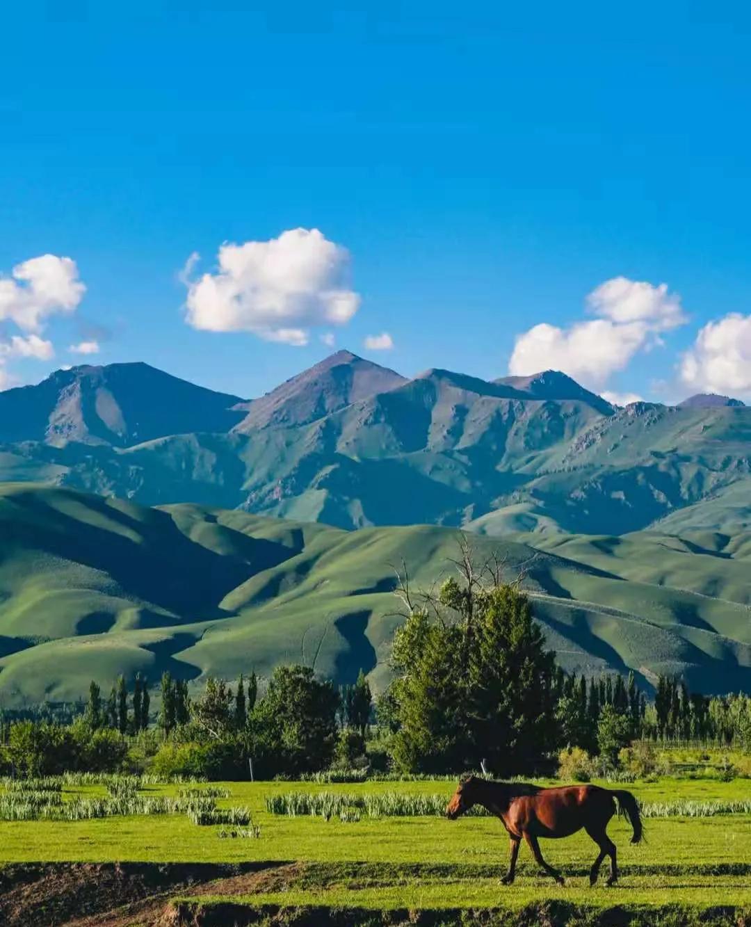 新疆之韵，探索独特文化与风情